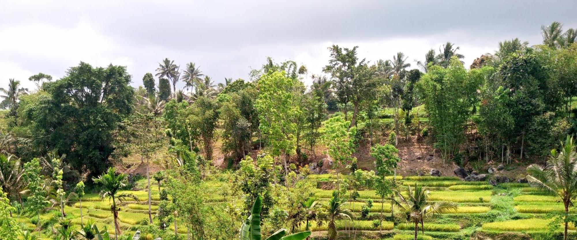 Asan Rinjani Homestay טטבאטו מראה חיצוני תמונה