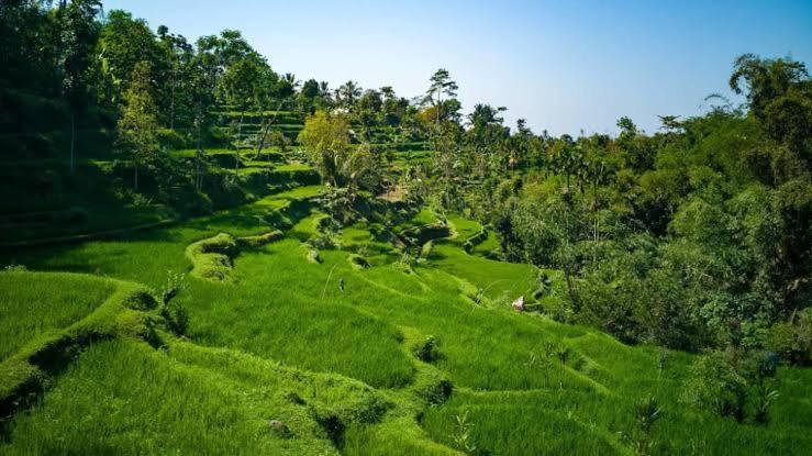 Asan Rinjani Homestay טטבאטו מראה חיצוני תמונה