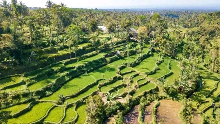 Asan Rinjani Homestay טטבאטו מראה חיצוני תמונה